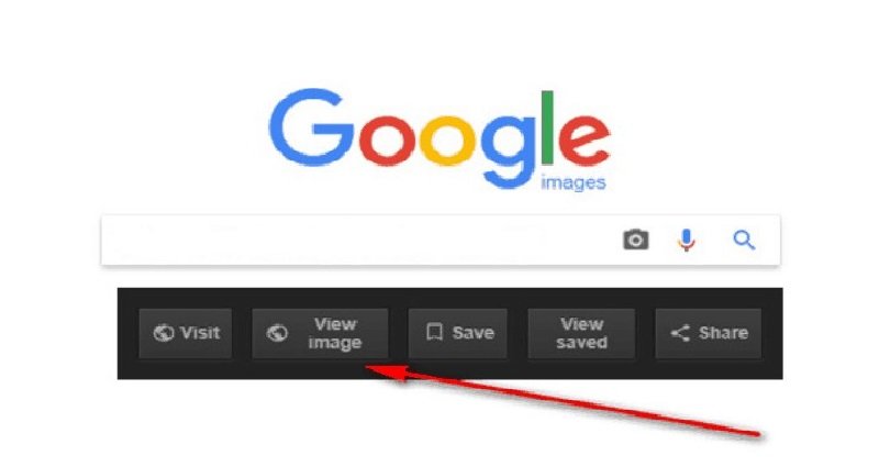 View Image Feature In Google