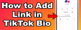 How to Add a Link to TikTok Bio