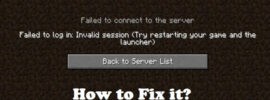 Failed to connect to the server in Minecraft