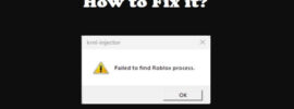 Failed to find Roblox process on Krnl