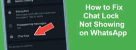 Chat Lock Not Showing on WhatsApp