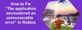 The application encountered an unrecoverable error Roblox