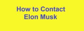 How to Contact Elon Musk